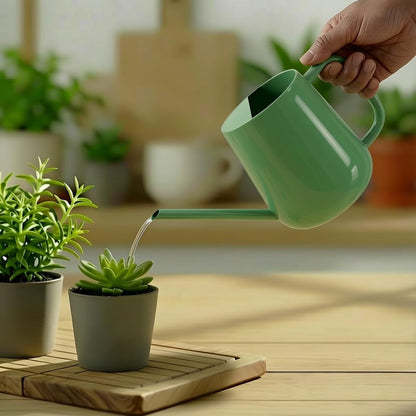 Watering Can for Indoor & Outdoor Plants, 35 oz/1000ml Watering Can with Metal Handle, Stainless Steel Garden Long Spout Watering Pot for Indoor House Plants Bonsai Flower Decorative