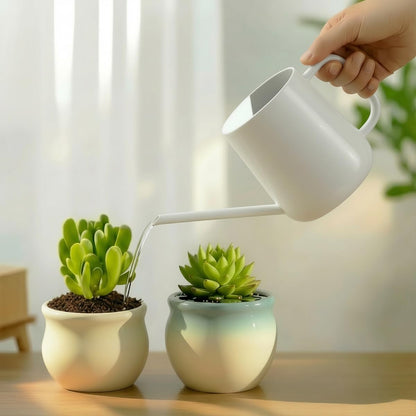 Watering Can for Indoor & Outdoor Plants, 35 oz/1000ml Watering Can with Metal Handle, Stainless Steel Garden Long Spout Watering Pot for Indoor House Plants Bonsai Flower Decorative