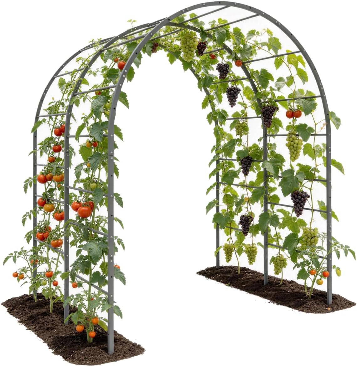 Anleolife 4x6FT Heavy Duty Double-Arch Garden Trellis for Climbing Plants