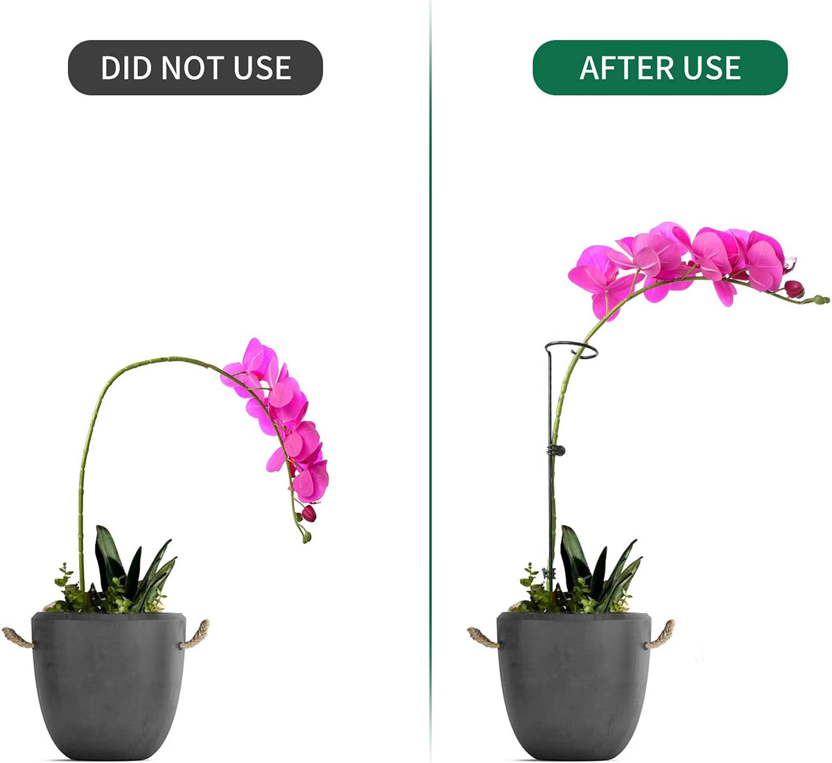 12 Pack Plant Support Stakes with 24 Pcs Plant Clips, Garden Single Stem Support Stake, Plant Cage Support Ring for Indoor Outdoor Flowers Rose Amaryllis Tomatoes Peony Lily Orchid (16 Inch)