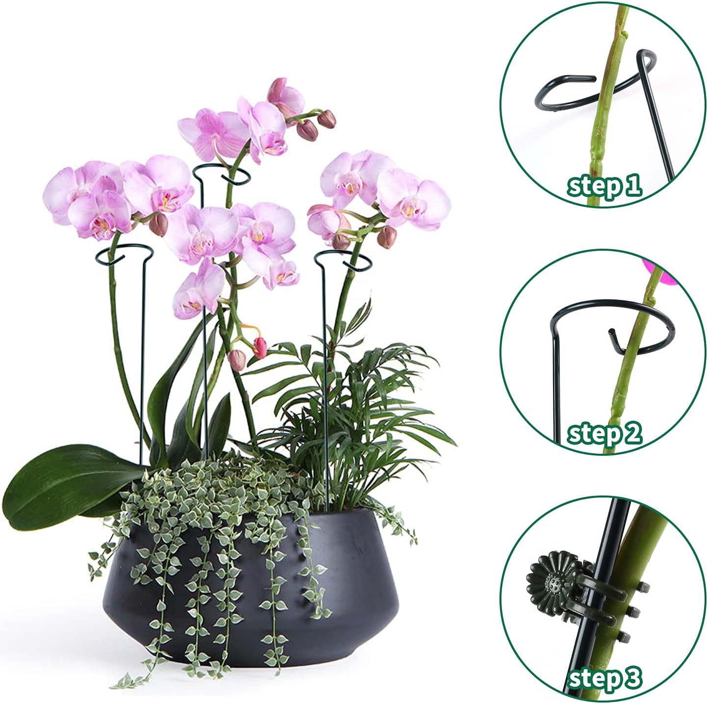 12 Pack Plant Support Stakes with 24 Pcs Plant Clips, Garden Single Stem Support Stake, Plant Cage Support Ring for Indoor Outdoor Flowers Rose Amaryllis Tomatoes Peony Lily Orchid (16 Inch)