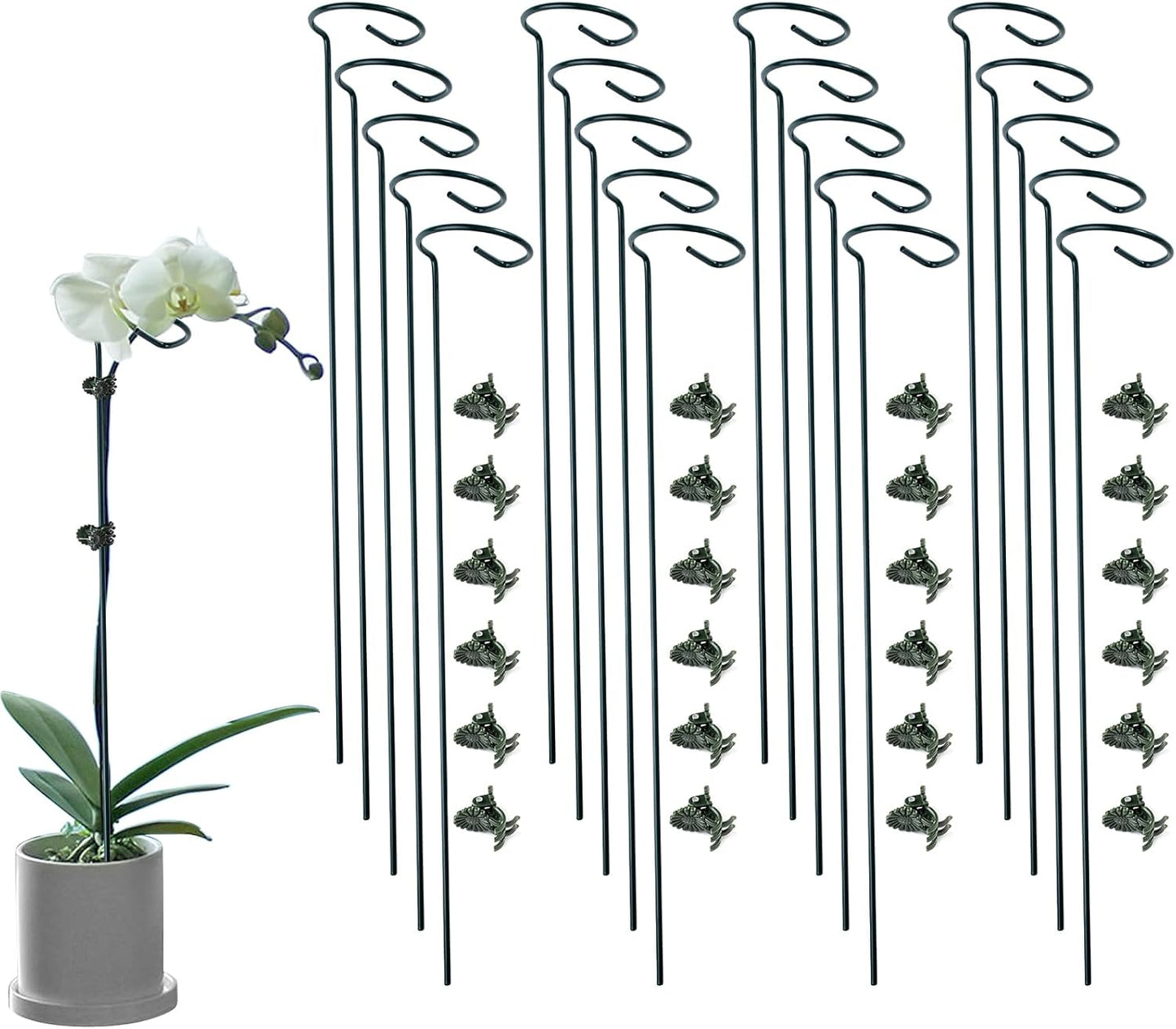 12 Pack Plant Support Stakes with 24 Pcs Plant Clips, Garden Single Stem Support Stake, Plant Cage Support Ring for Indoor Outdoor Flowers Rose Amaryllis Tomatoes Peony Lily Orchid (16 Inch)