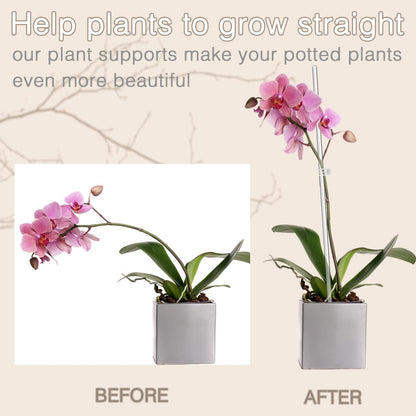 18IN Plant Stakes, Plant Sticks 20PCS Acrylic Clear Plant Support Stakes