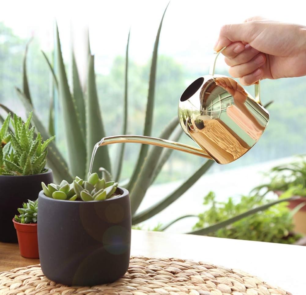 500 ml Stainless Steel Watering Can, Watering Can with Long Spout, for Indoor and Outdoor Indoor Plants (Rose Gold)