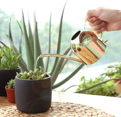 500 ml Stainless Steel Watering Can, Watering Can with Long Spout, for Indoor and Outdoor Indoor Plants (Rose Gold)