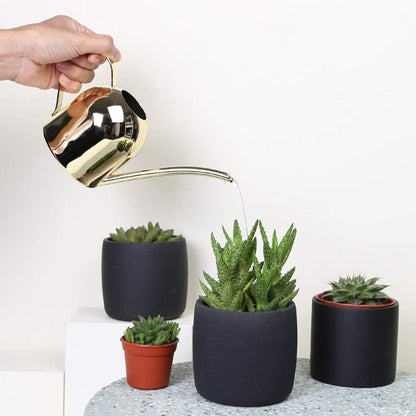 500 ml Stainless Steel Watering Can, Watering Can with Long Spout, for Indoor and Outdoor Indoor Plants (Rose Gold)