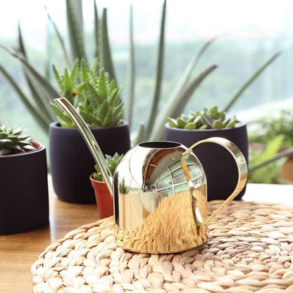 500 ml Stainless Steel Watering Can, Watering Can with Long Spout, for Indoor and Outdoor Indoor Plants (Rose Gold)
