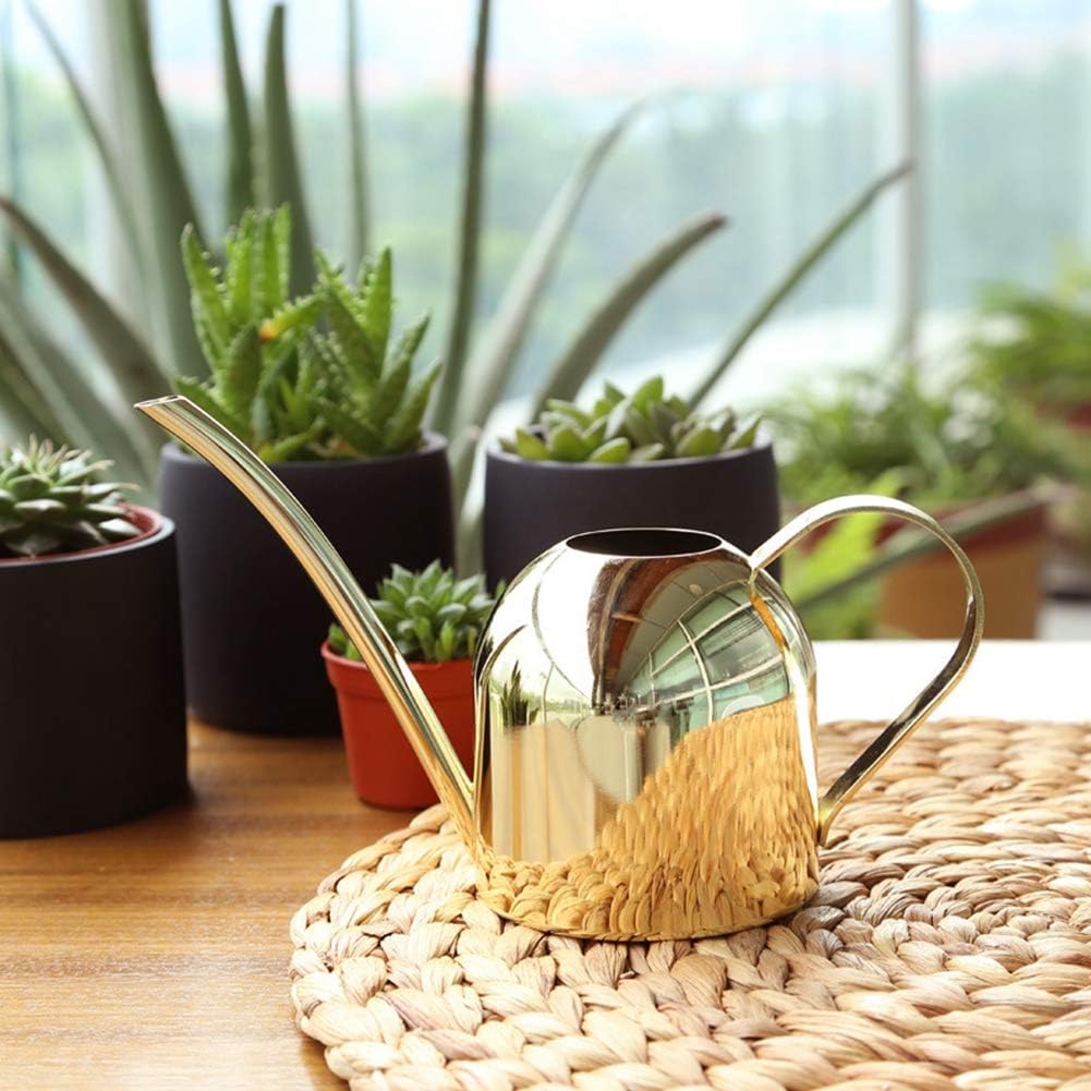 500 ml Stainless Steel Watering Can, Watering Can with Long Spout, for Indoor and Outdoor Indoor Plants (Rose Gold)