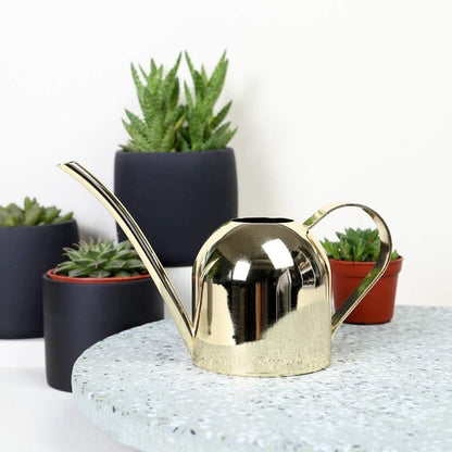 500 ml Stainless Steel Watering Can, Watering Can with Long Spout, for Indoor and Outdoor Indoor Plants (Rose Gold)