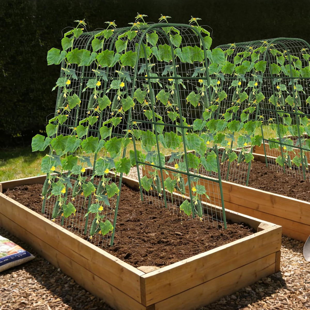 Cucumber Trellis for Raised Bed, 63"x47.2" U-Shape Garden Trellis for Climbing Plants Outdoor with Climbing Net, Metal Arch Plant Support for Cucumbers Tomatoes Peas Beans