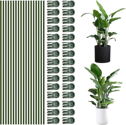 10Pcs Plant Support Stakes with 15Pcs Plant Clips, 15.75inch Tall Bendable Single Stem Sticks Orchid Clips Brown Helps Growth for Indoor Outdoor Flowers Rose Amaryllis