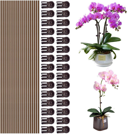 10Pcs Plant Support Stakes with 15Pcs Plant Clips, 15.75inch Tall Bendable Single Stem Sticks Orchid Clips Brown Helps Growth for Indoor Outdoor Flowers Rose Amaryllis