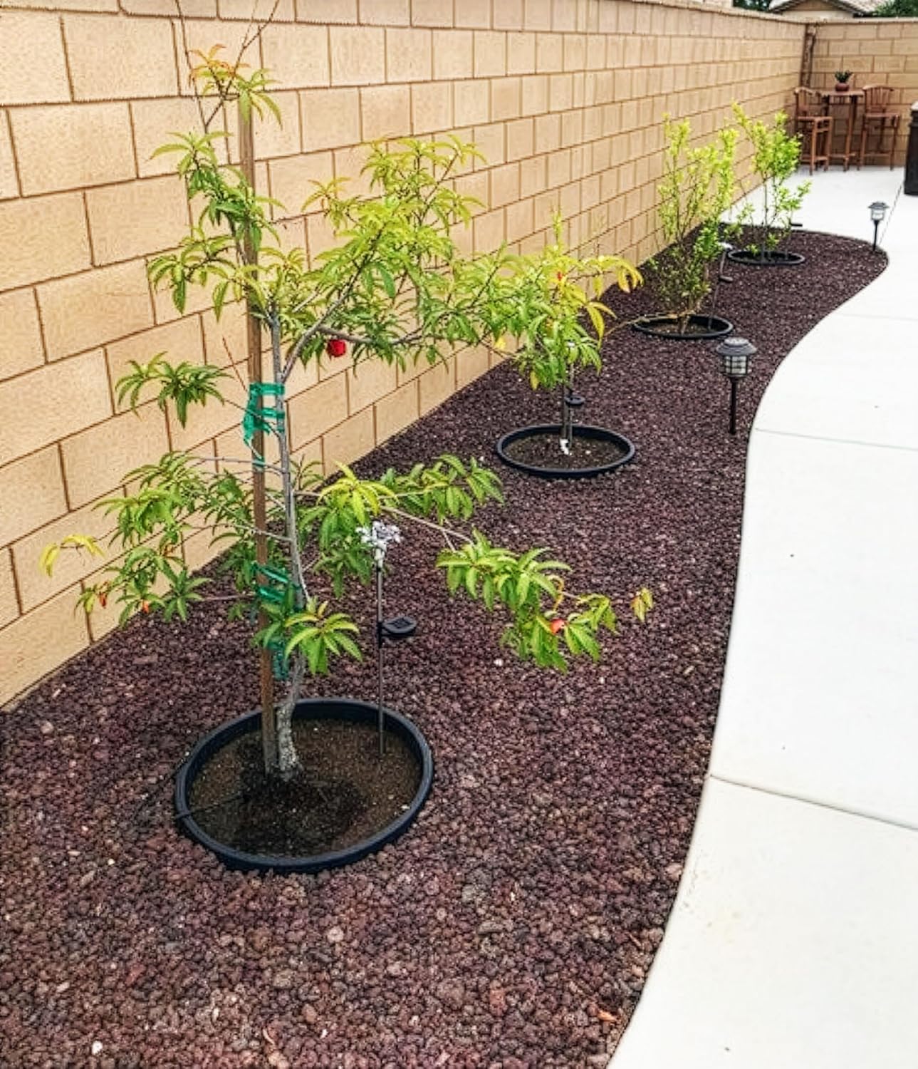 6-Pack 24-inch Tree Planting Rings – Deep Root Watering Basin & Edging.