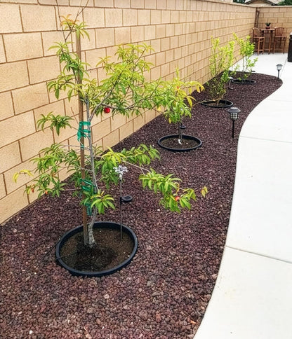6-Pack 24-inch Tree Planting Rings – Deep Root Watering Basin & Edging.