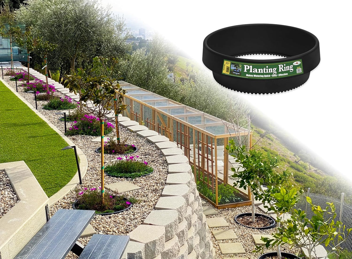 6-Pack 24-inch Tree Planting Rings – Deep Root Watering Basin & Edging.