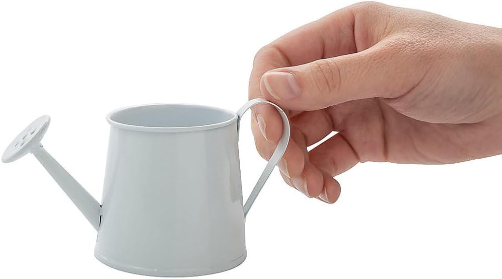 Mini Watering Can Tabletop Decorations - 12 Pieces