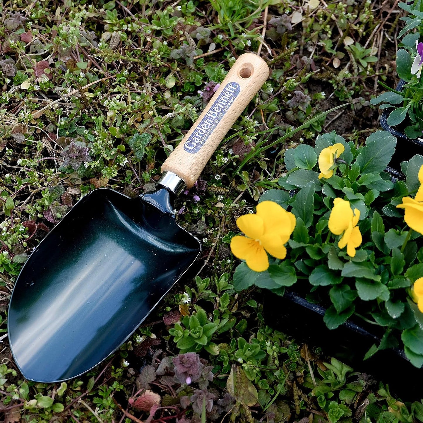 Soil Scoop Garden Tool, Large Loose Soil Scooper Tool for Transplanting and Gardening, Heavy Duty Japanese Steel Balde, Wood Handle, Made in Japan