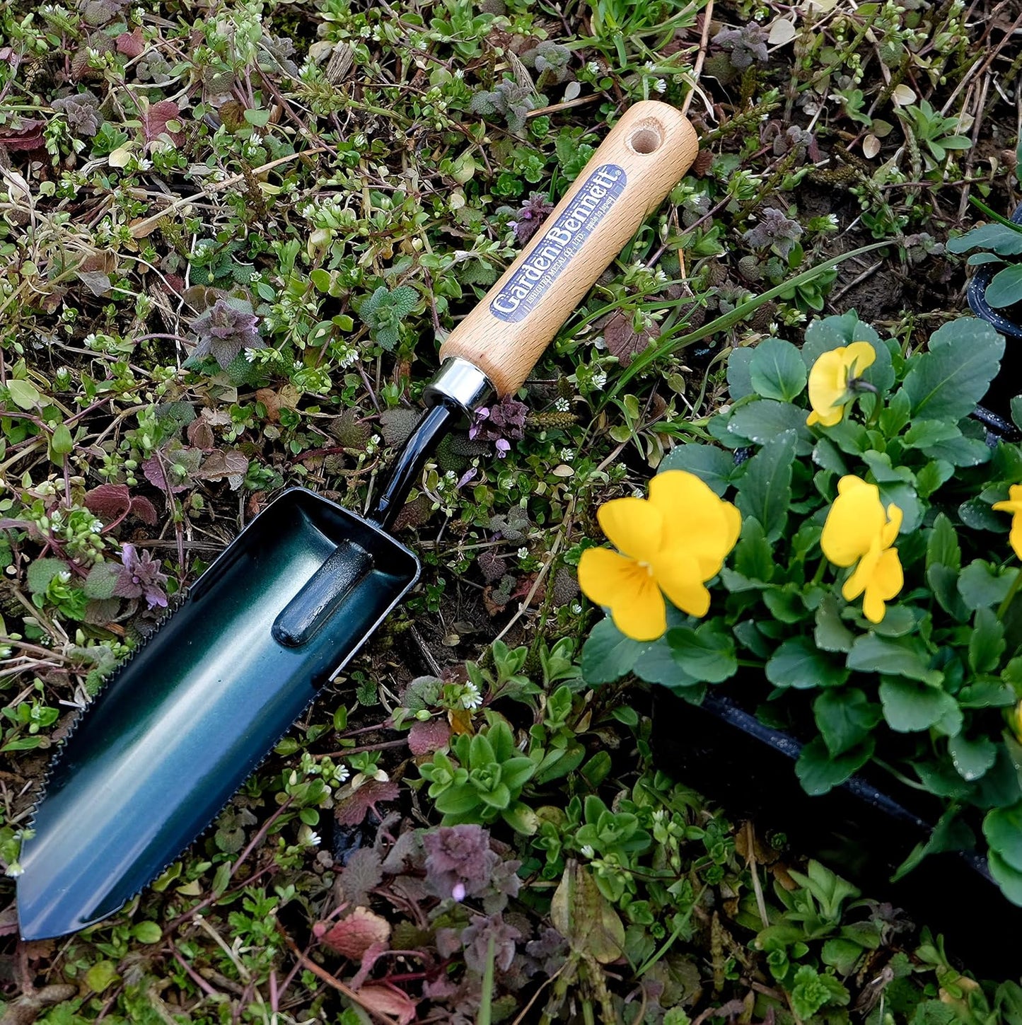 Soil Scoop Garden Tool, Large Loose Soil Scooper Tool for Transplanting and Gardening, Heavy Duty Japanese Steel Balde, Wood Handle, Made in Japan