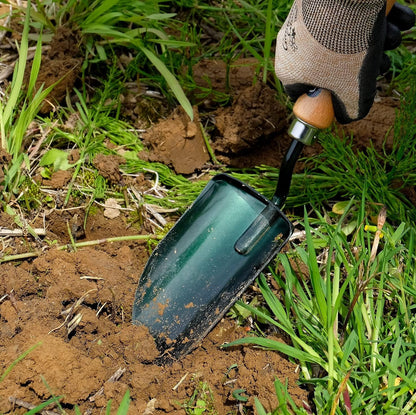 Soil Scoop Garden Tool, Large Loose Soil Scooper Tool for Transplanting and Gardening, Heavy Duty Japanese Steel Balde, Wood Handle, Made in Japan