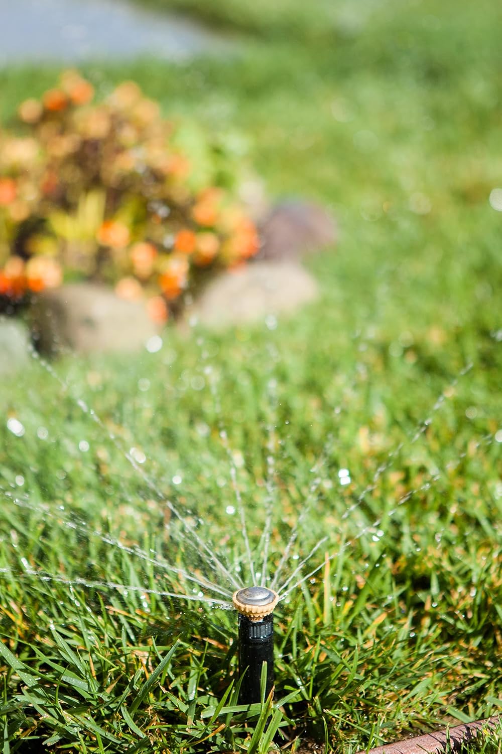 22SAFPROPR HE Pro Rotary Sprinkler, Full Circle, 17-24 Feet, 4"