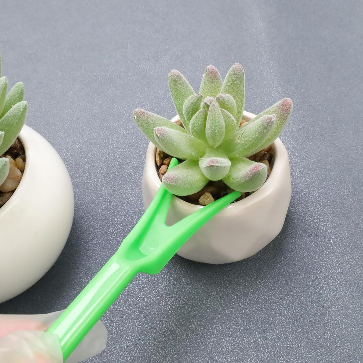 Mini Garden Hand Succulent Transplanting Tools,Set of 6,Green