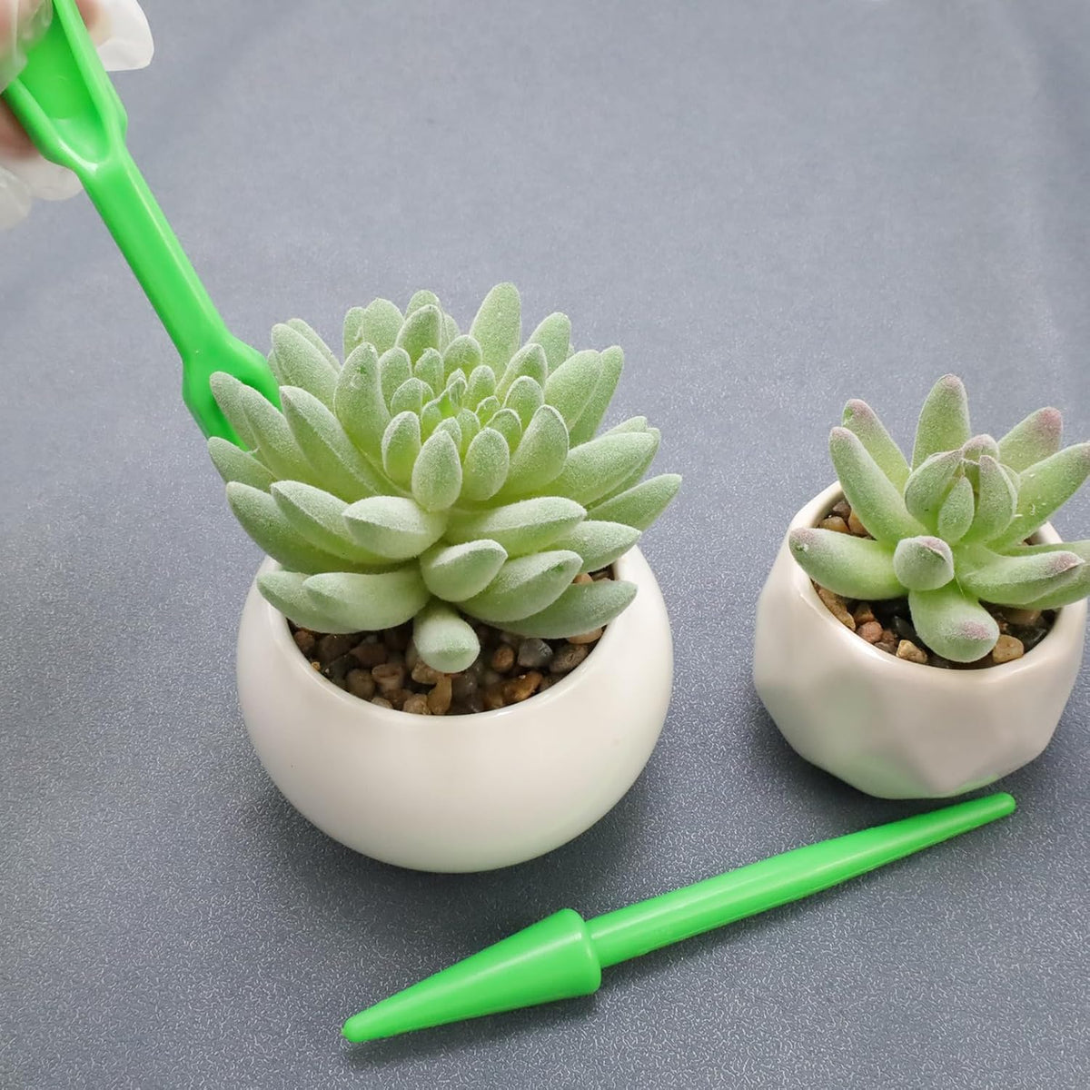 Mini Garden Hand Succulent Transplanting Tools,Set of 6,Green