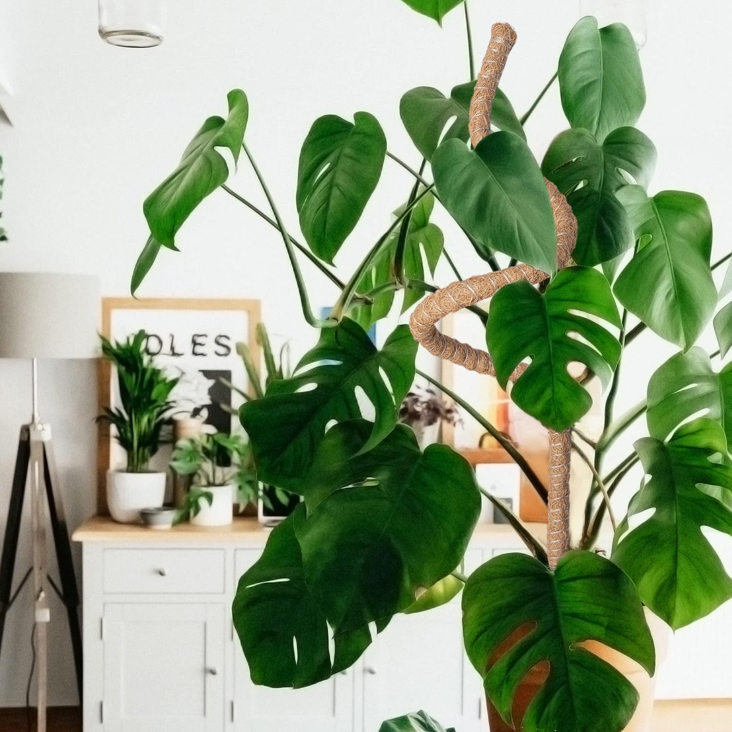Bendable Moss Pole for Plants 47 Inch, Monstera Plant Support Stake with 7mm Aluminum Core, Coconut Coir Climbing Pole for Monstera Pothos Philodendron, Complete Kit with Ties & Rope