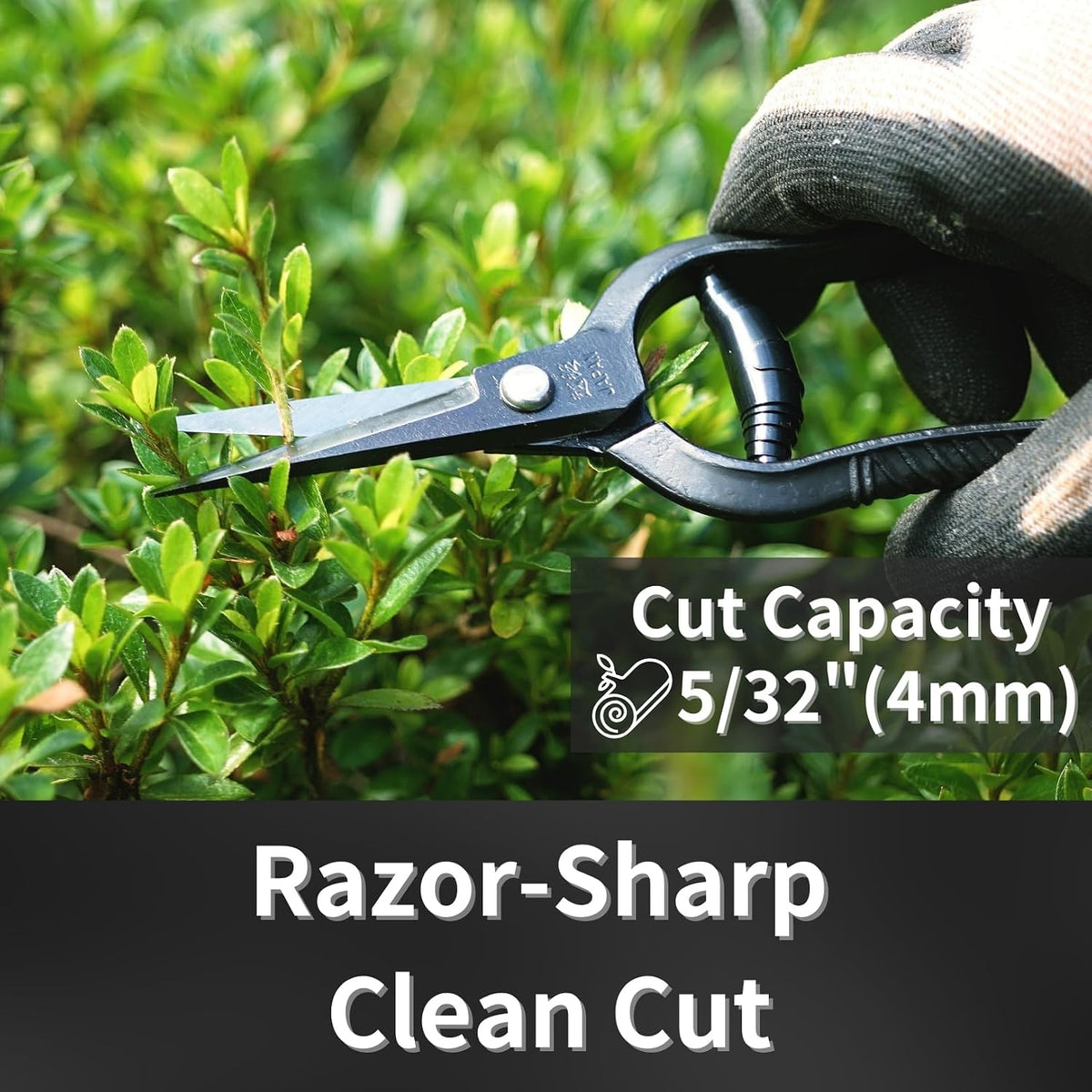 Bonsai Trimming Scissors 6.8" Made in JAPAN, Garden Plant Trimming Shears, Hand Forged Japanese Carbon Steel Blade, Spring Loaded Handle, Black