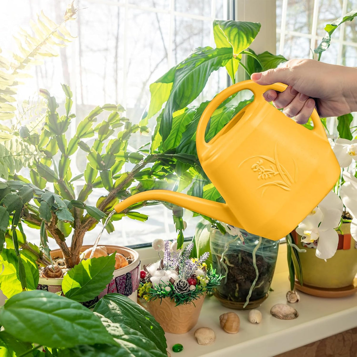 Watering Can - for Home Plant Garden - 1 Gallon - Navy Blue
