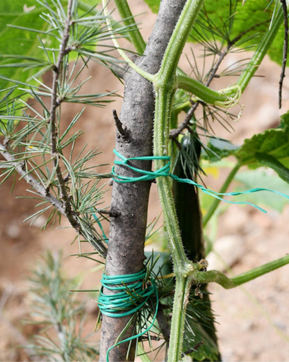 328ft (100m) Garden Twist Ties with Built-in Cutter, Green Soft Plant Ties for Support Climbing Vines & Flowers, Reusable Coated Wire for Home Office Cable Management & Organization (1, Green)