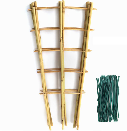 6 Pack Bamboo Trellis 24 Inches for Climbing Plants, Fan-Shaped Bamboo Plant Trellis Cucumber Tomato Trellis with 50pcs Twist Ties for Outdoor and Indoor Potted Plants