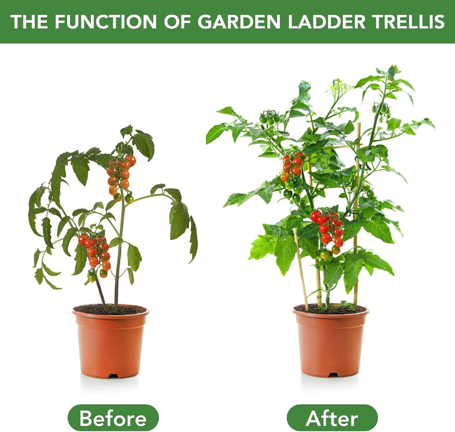 6 Pack Bamboo Trellis 24 Inches for Climbing Plants, Fan-Shaped Bamboo Plant Trellis Cucumber Tomato Trellis with 50pcs Twist Ties for Outdoor and Indoor Potted Plants
