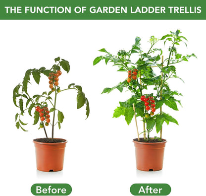 6 Pack Bamboo Trellis 24 Inches for Climbing Plants, Fan-Shaped Bamboo Plant Trellis Cucumber Tomato Trellis with 50pcs Twist Ties for Outdoor and Indoor Potted Plants