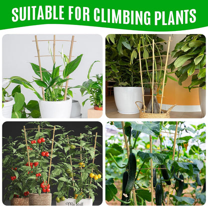 6 Pack Bamboo Trellis 24 Inches for Climbing Plants, Fan-Shaped Bamboo Plant Trellis Cucumber Tomato Trellis with 50pcs Twist Ties for Outdoor and Indoor Potted Plants