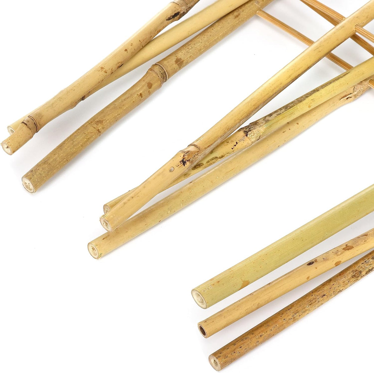 6 Pack Bamboo Trellis 24 Inches for Climbing Plants, Fan-Shaped Bamboo Plant Trellis Cucumber Tomato Trellis with 50pcs Twist Ties for Outdoor and Indoor Potted Plants