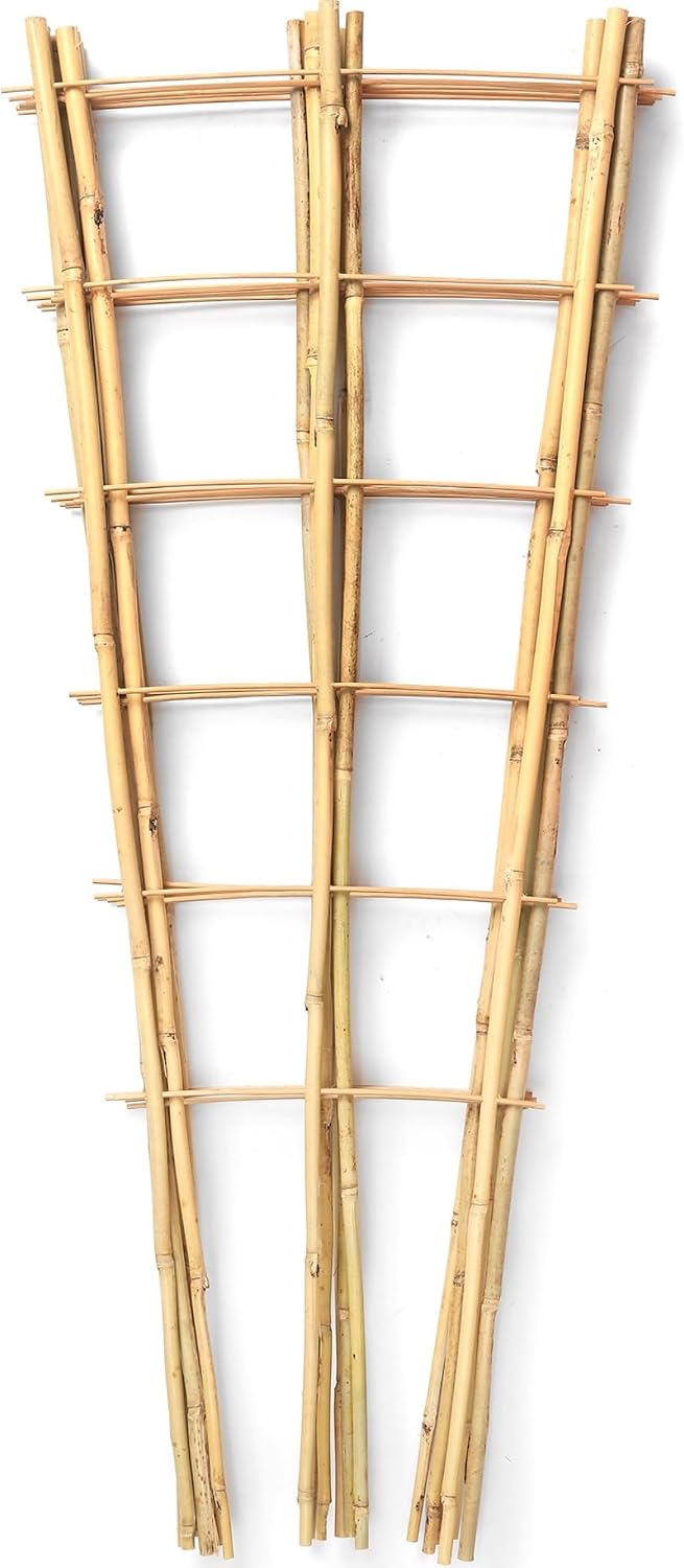 6 Pack Bamboo Trellis 24 Inches for Climbing Plants, Fan-Shaped Bamboo Plant Trellis Cucumber Tomato Trellis with 50pcs Twist Ties for Outdoor and Indoor Potted Plants