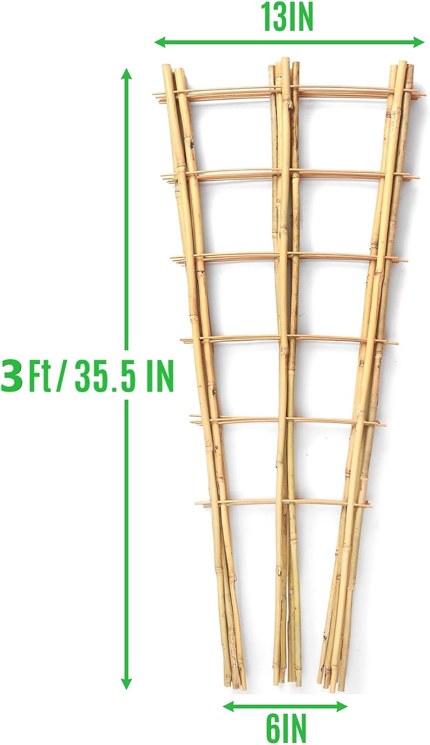 6 Pack Bamboo Trellis 24 Inches for Climbing Plants, Fan-Shaped Bamboo Plant Trellis Cucumber Tomato Trellis with 50pcs Twist Ties for Outdoor and Indoor Potted Plants