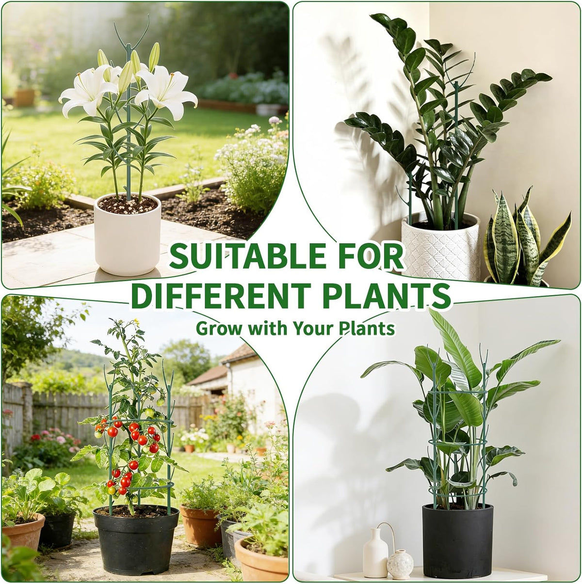 30Pcs Stackable Plant Support Stakes, Plant Stakes for Monstera Plant Stem Supports for Indoor Plants, Includes Garden Wire, Ties & Cutter for Pothos, Money Plant, Vines, Outdoors