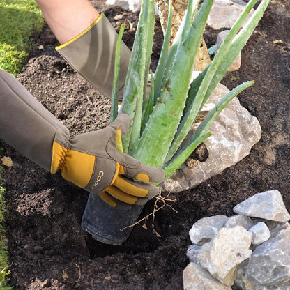 Thorn Proof Rose Pruning Garden Gloves for Men, Long Sleeve Large