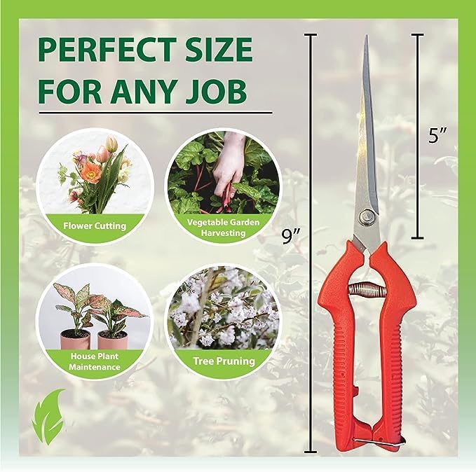 Extra Long Stainless Steel Pruner Pruning Shears Clippers Snips – Sharp Bonsai Cutter Plant Trimming Scissors – Straight Blade Garden Scissors Tool – Great for Roses Flowers Herbs Fruits