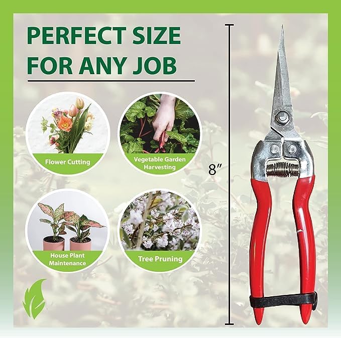 Extra Long Stainless Steel Pruner Pruning Shears Clippers Snips – Sharp Bonsai Cutter Plant Trimming Scissors – Straight Blade Garden Scissors Tool – Great for Roses Flowers Herbs Fruits