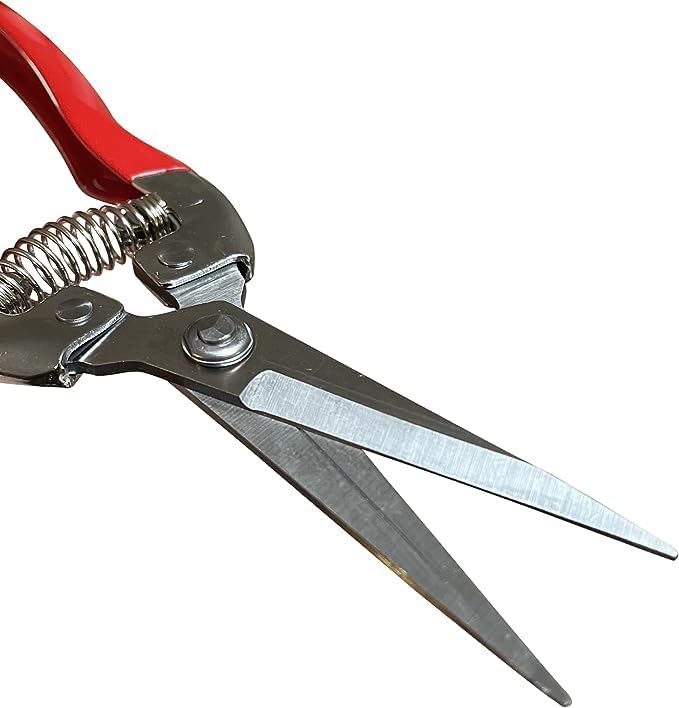 Extra Long Stainless Steel Pruner Pruning Shears Clippers Snips – Sharp Bonsai Cutter Plant Trimming Scissors – Straight Blade Garden Scissors Tool – Great for Roses Flowers Herbs Fruits