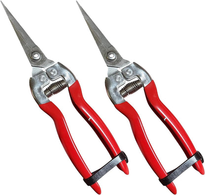 Extra Long Stainless Steel Pruner Pruning Shears Clippers Snips – Sharp Bonsai Cutter Plant Trimming Scissors – Straight Blade Garden Scissors Tool – Great for Roses Flowers Herbs Fruits