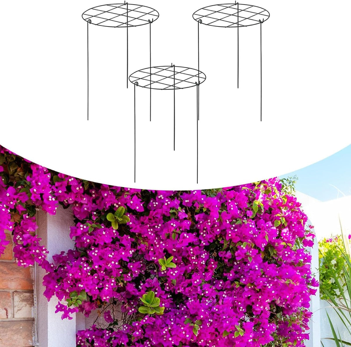 Peony Support Cage, 3-Pack Iron Grow Through Hoops, 11.8 x 15.7 in, for Peonies Roses Hydrangeas