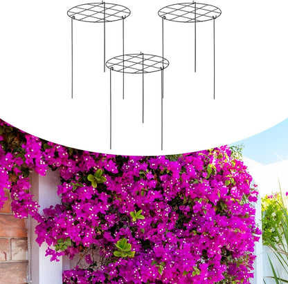 Peony Support Cage, 3-Pack Iron Grow Through Hoops, 11.8 x 15.7 in, for Peonies Roses Hydrangeas