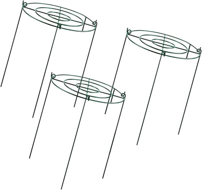 Peony Support Cage, 3-Pack Iron Grow Through Hoops, 11.8 x 15.7 in, for Peonies Roses Hydrangeas
