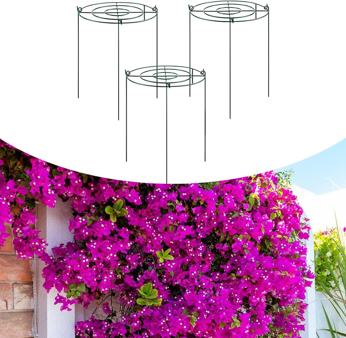 Peony Support Cage, 3-Pack Iron Grow Through Hoops, 11.8 x 15.7 in, for Peonies Roses Hydrangeas