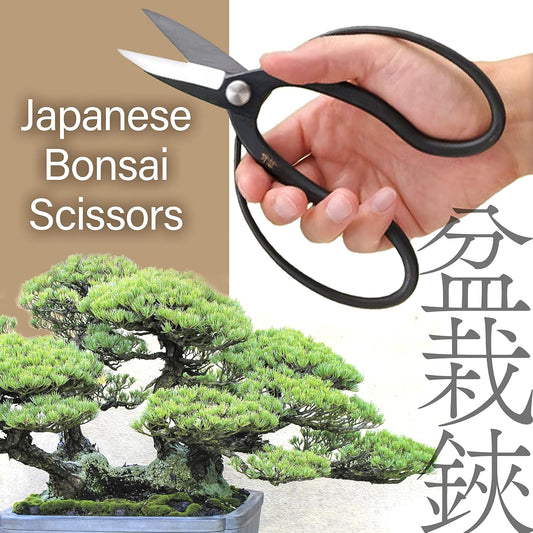 Japanese Suiryu Bonsai Scissors Pruning Shears 7.87inch"