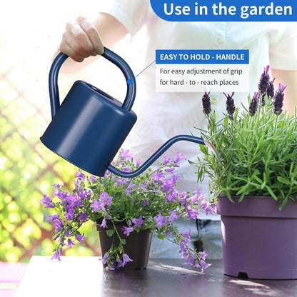 Watering Can, Stainless Steel Watering Can for Indoor & Outdoor Plants, 1L/35oz Long Spout Water Can with Handle, Rust-Proof Plant Watering Pot for House Plants, Garden Flowers