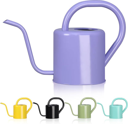Watering Can, Stainless Steel Watering Can for Indoor & Outdoor Plants, 1L/35oz Long Spout Water Can with Handle, Rust-Proof Plant Watering Pot for House Plants, Garden Flowers